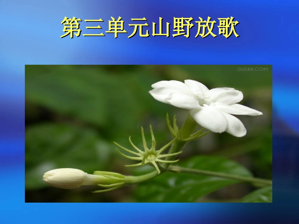 山野放歌0课件_第2页