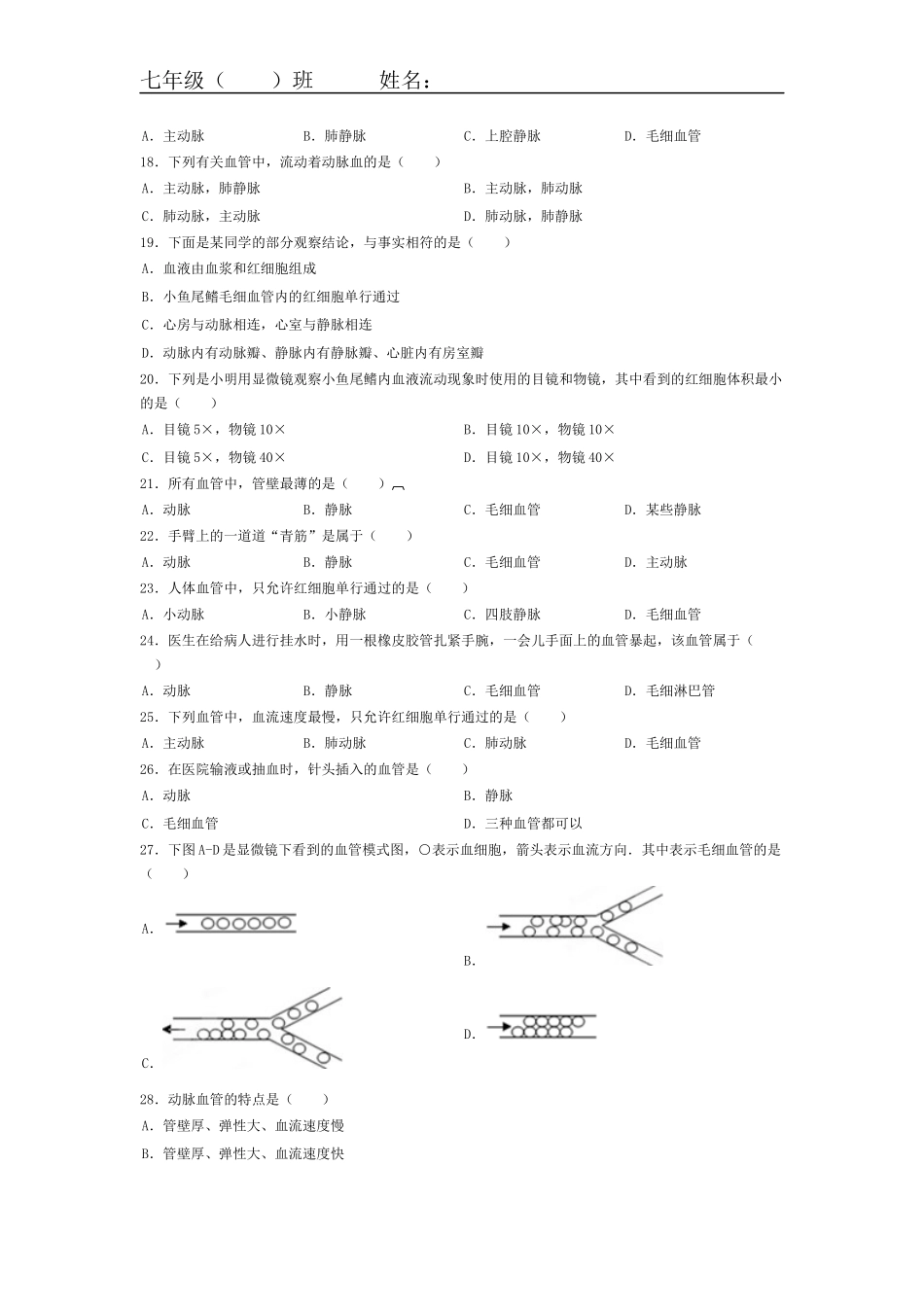 【同步练习】血流的管道——血管（1）_第3页