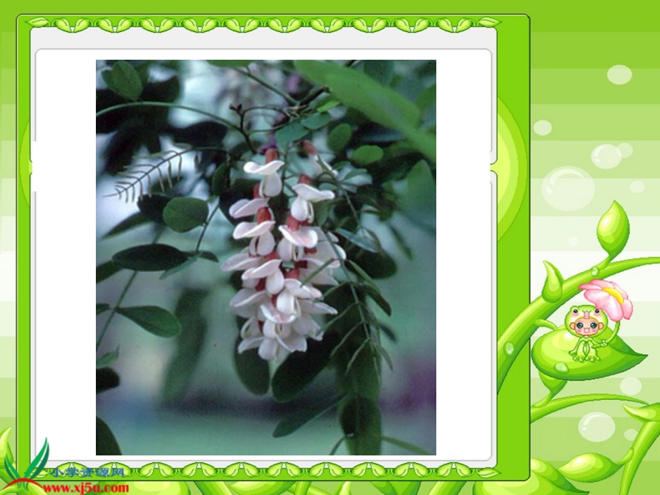 槐乡的孩子课件_第2页