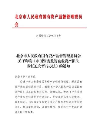 市国资委资产损失责任追究办法