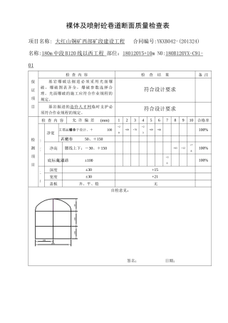 巷道喷砼断面质量检查表格