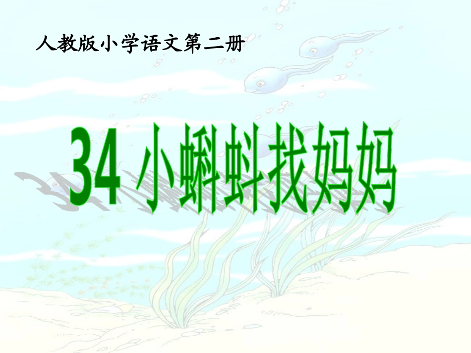 小蝌蚪找妈妈课件_第1页