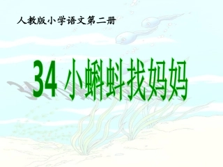小蝌蚪找妈妈课件