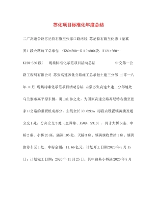 苏化项目标准化年度总结