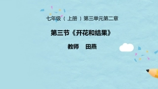 开花结果课件