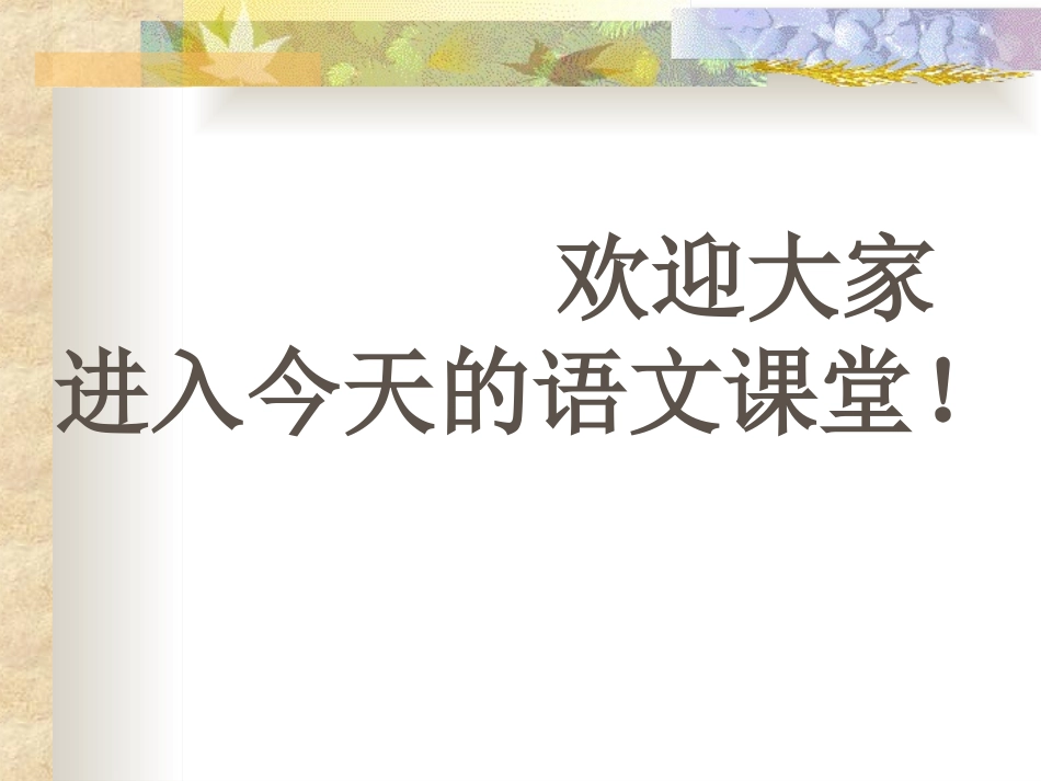 《汉语拼音复习一》教学课件_第1页