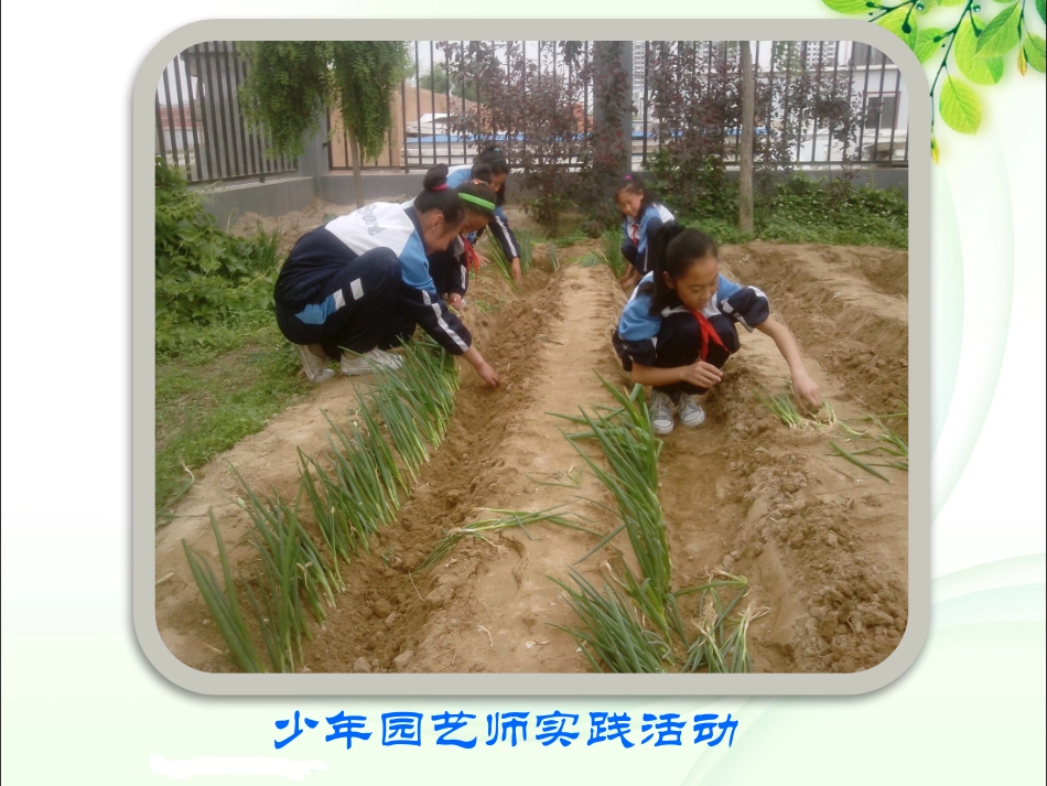 小园艺大课堂24小园艺美育篇_第3页