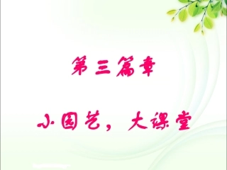 小园艺大课堂24小园艺美育篇