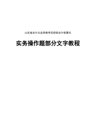 山东省初级会计电算化教程