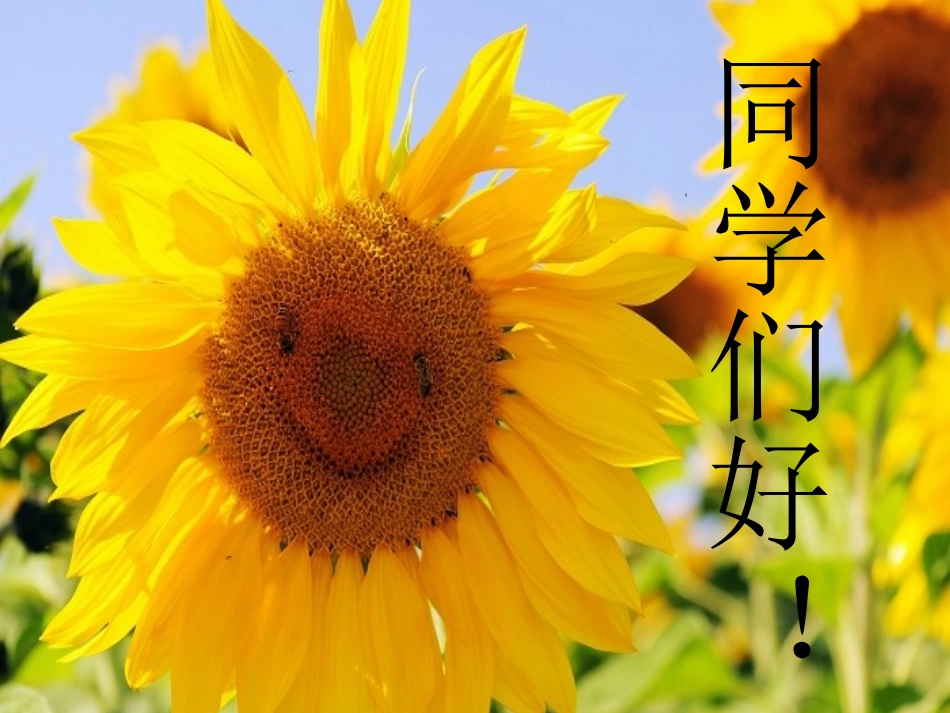 行进中的歌课件_第1页