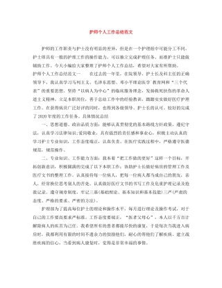 护师个人工作总结范文