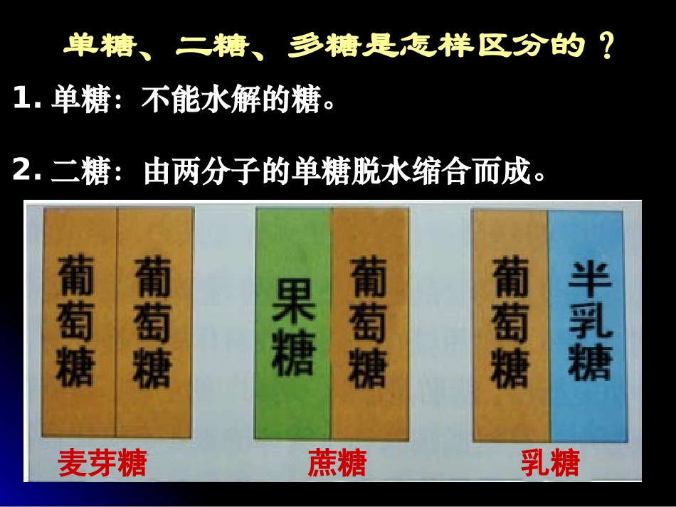 细胞中的糖类和脂质_第3页