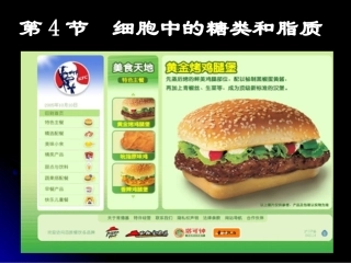 细胞中的糖类和脂质