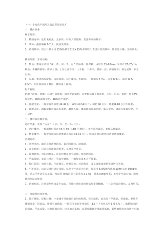 小麦高产栽培及病虫害防治技术