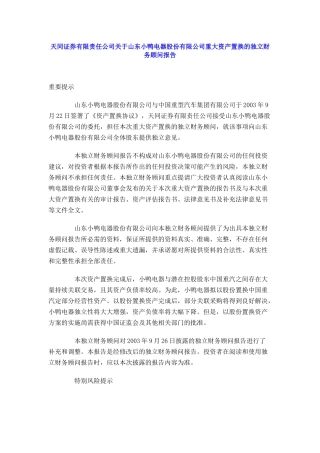 小鸭独立财务顾问报告