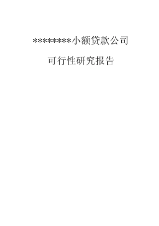 小额贷款公司可研报告