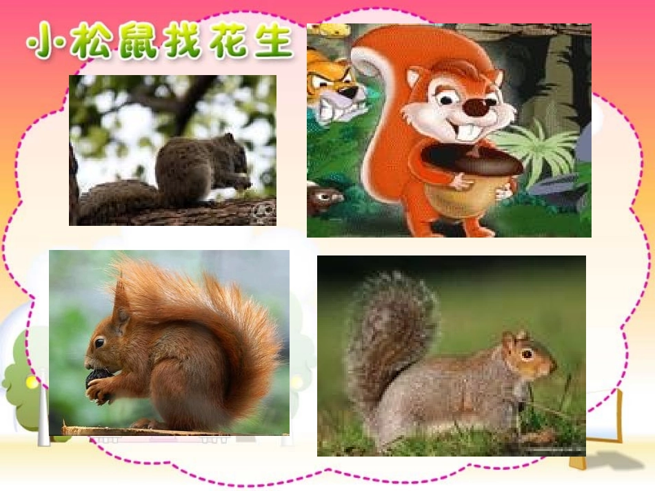 人教版小学一年级语文上册《小松鼠找花生》课件__郭萍__安丘市兴安街道白芬子小学_第3页