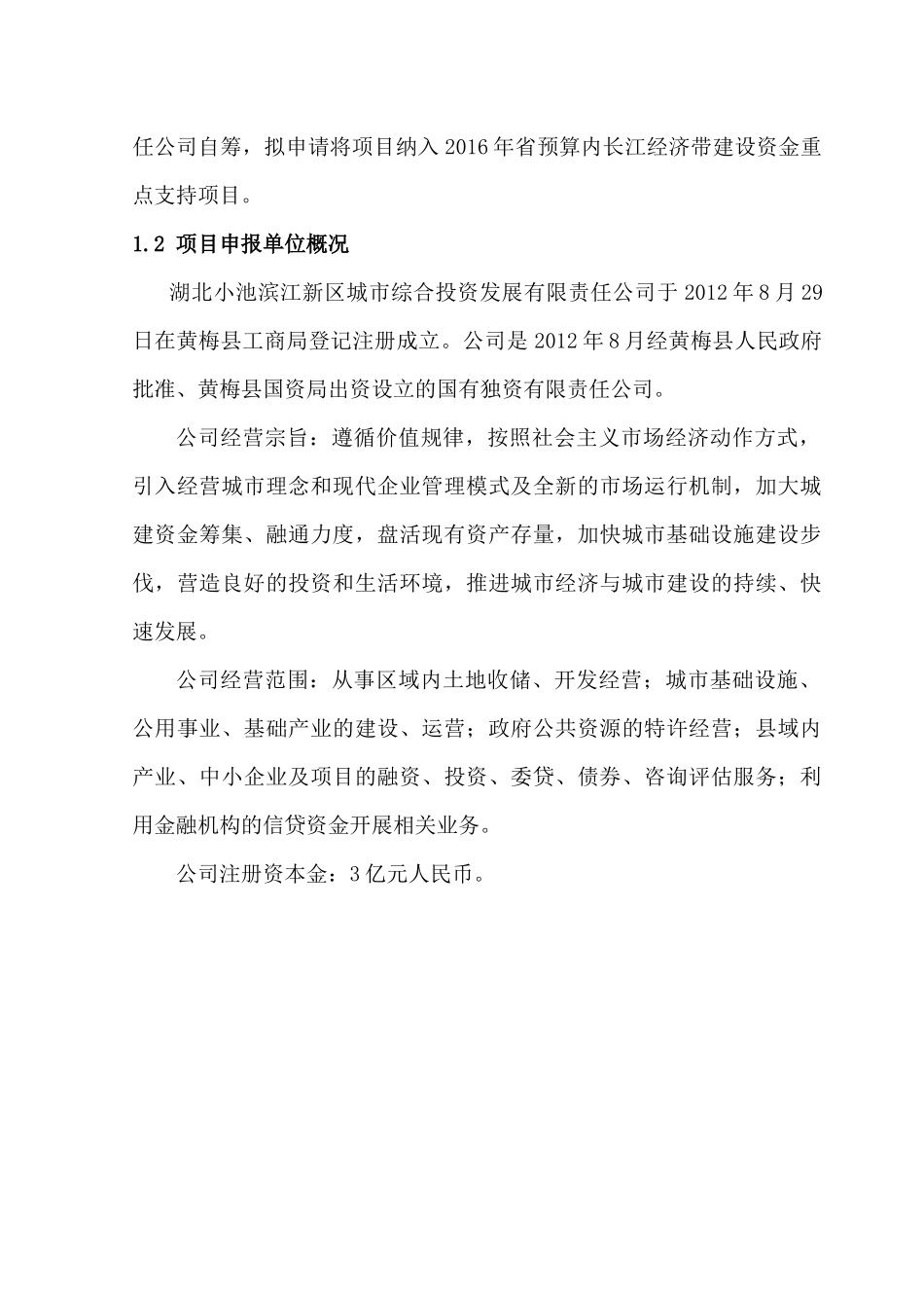 小池临港产业园临港中路资金申请报告_第2页