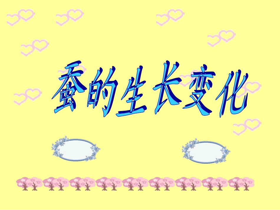 蚕的生长变化(好用)_第1页