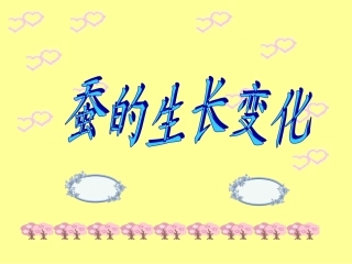 蚕的生长变化(好用)