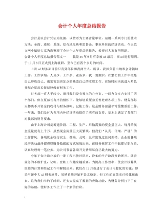 会计个人年度总结报告