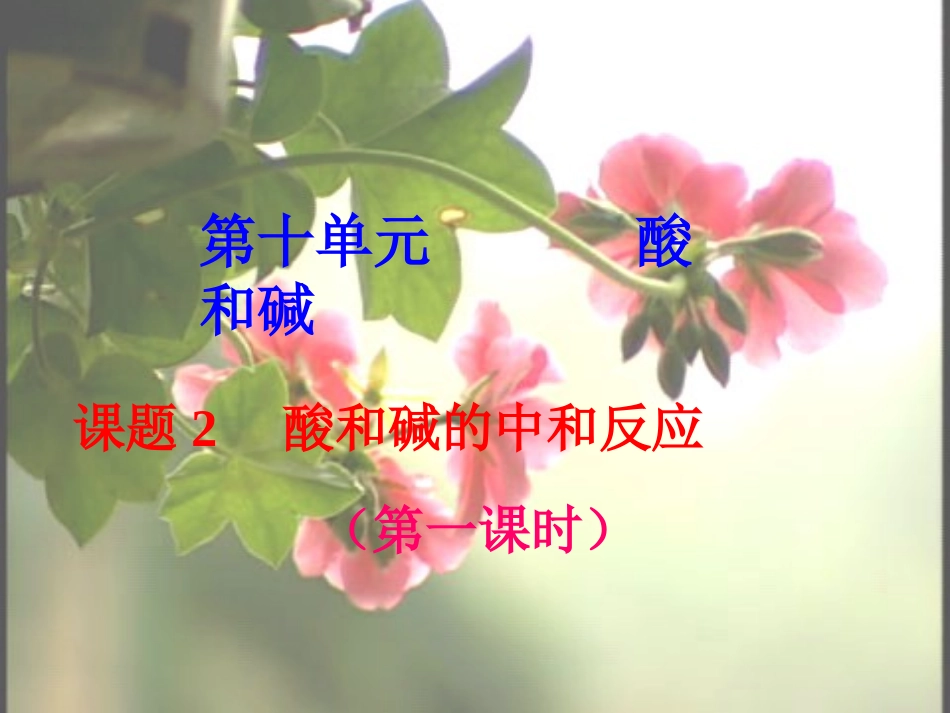 中和反应与pH_第1页