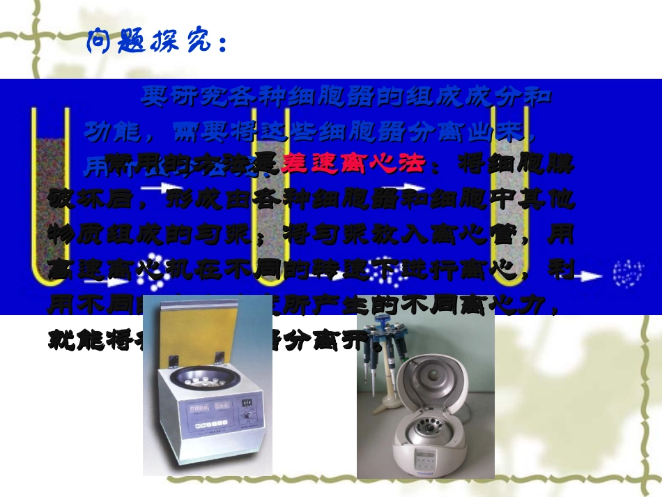 细胞器——系统内的分工_第3页