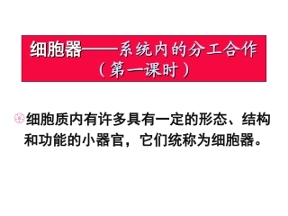细胞器——系统内的分工