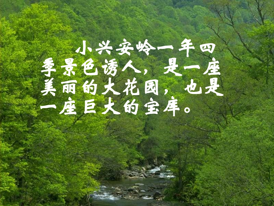 《美丽的小兴安岭》 (2)_第2页