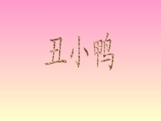 丑小鸭 (2)