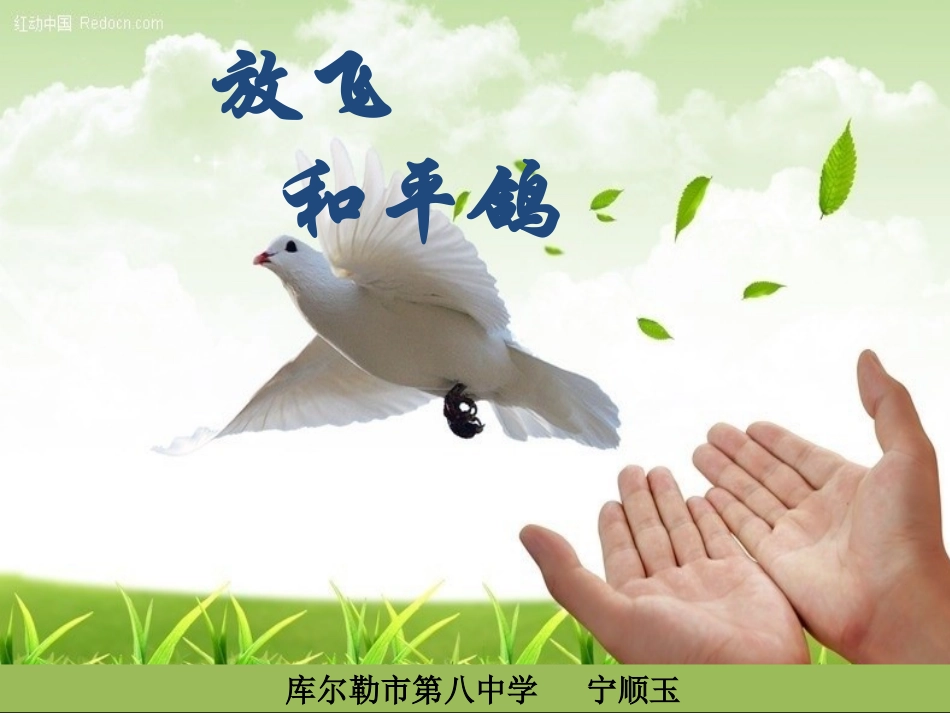 放飞和平鸽课件_第2页