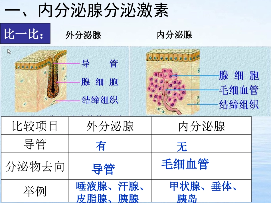 第四节激素调节_第3页