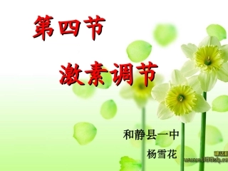 第四节激素调节