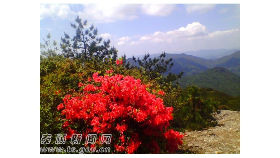 为什么一年有四季_第1页