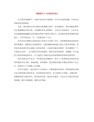 驾驶新手个人自我评价范文