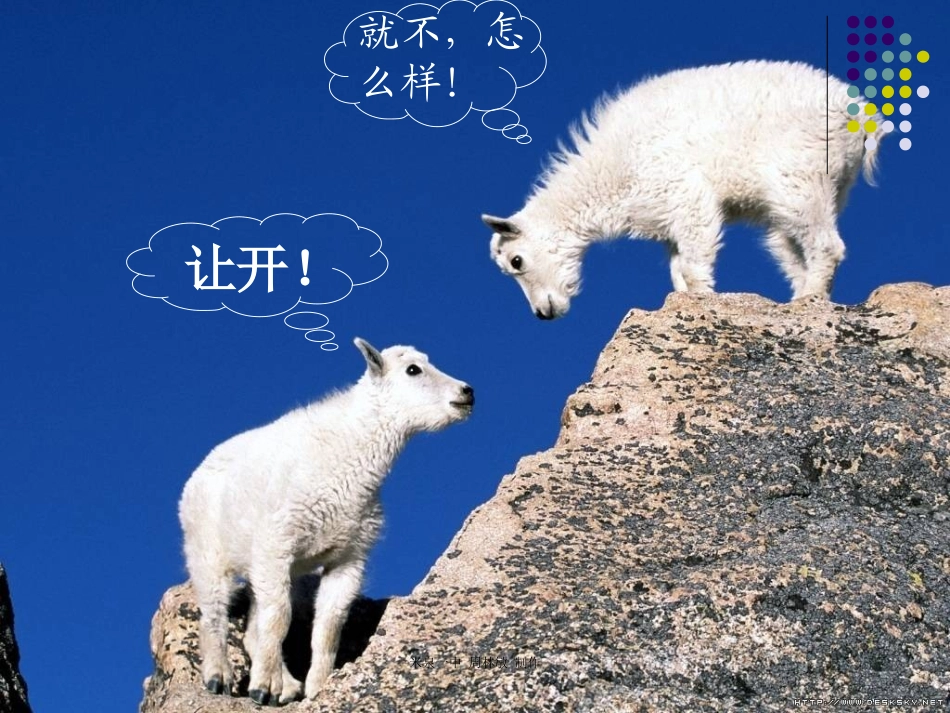 动物游戏之谜1上课用_第2页
