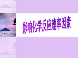 化学反应速率(第二课时)