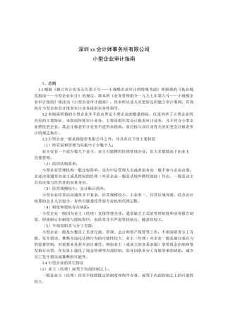 小型企业审计指南( 10)