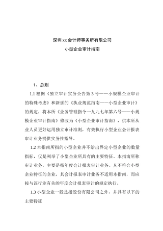 小型企业审计业务报告的实施