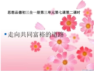 走向共同富裕的道路正式