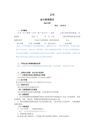 小企业会计制度附注模板(原版)