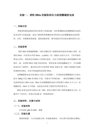 试验一质粒DNA的提取纯化与琼脂糖凝胶电泳