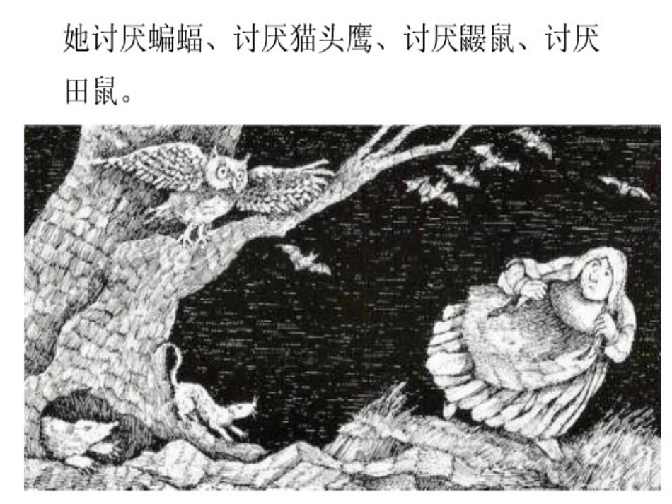 讨厌黑暗的席奶奶(2)_第3页