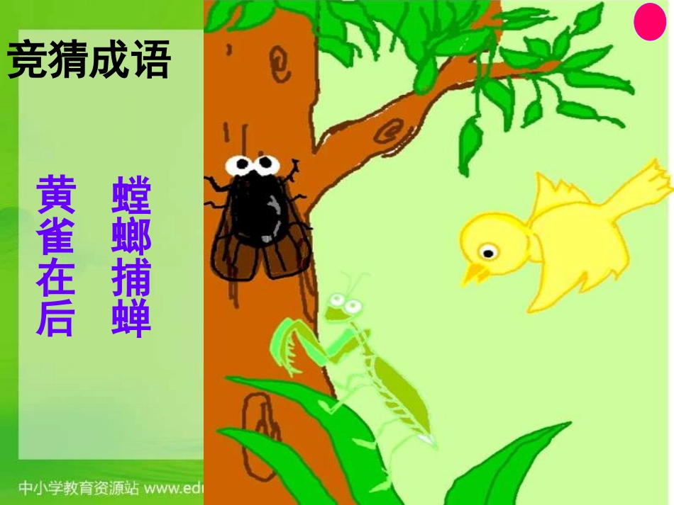 教科版科学五下《食物链和食物网》课件_第1页