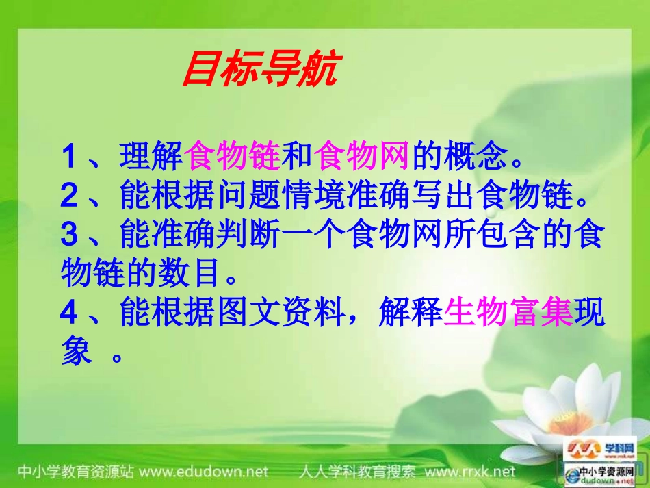 教科版科学五下《食物链和食物网》课件_第3页