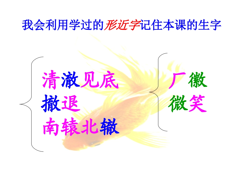 《鱼游到了纸上》课件_第3页