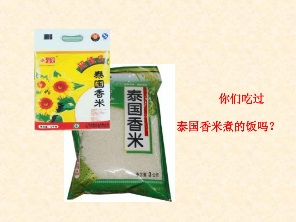 第一课家住平原_第3页