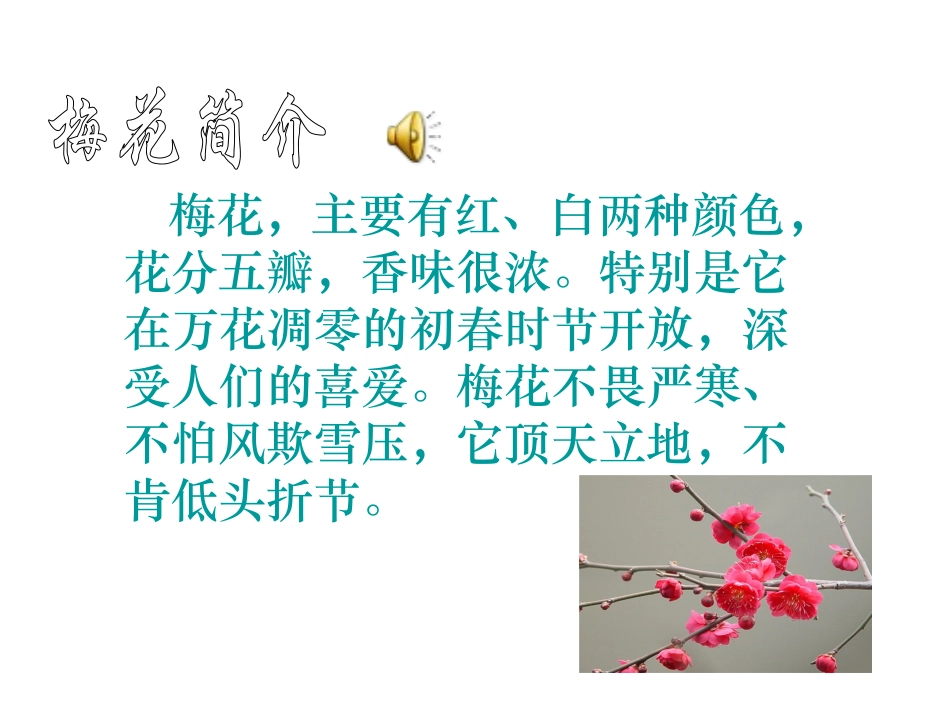 《梅花魂》PPT完美版_第3页