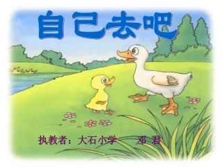 《自己去吧》2课件