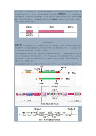 非编码区和编码区真核生物的启动子终止子,真核生物RNA的修饰